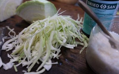 Weisskohl fermentieren leicht gemacht
