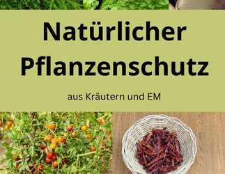 Natürlicher Pflanzenschutz mit EM und Kräutern