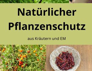 Natürlicher Pflanzenschutz mit EM und Kräutern