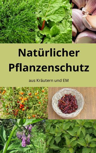 Natürlicher Pflanzenschutz mit EM und Kräutern