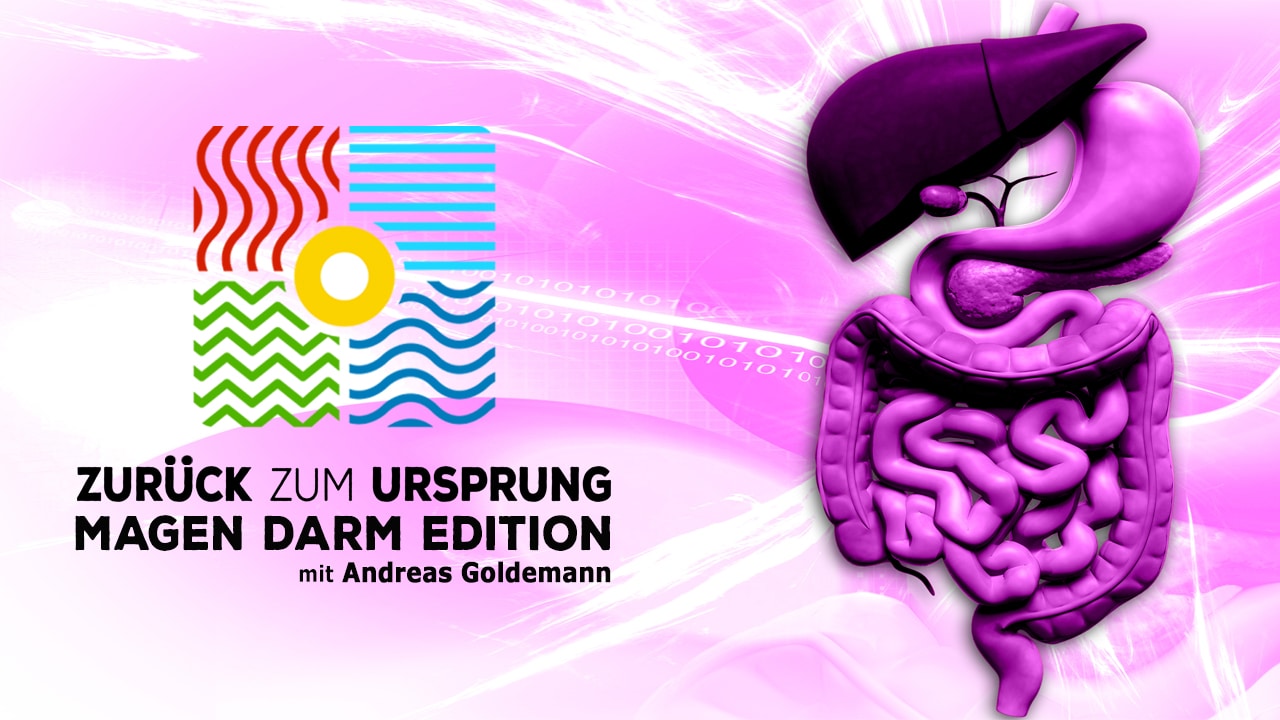 Zurueck zum ursprung magen darm edition